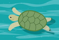 green sea turtle swimming in ocean clipart