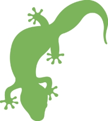green silhouette gecko lizard reptile educational clip art graph