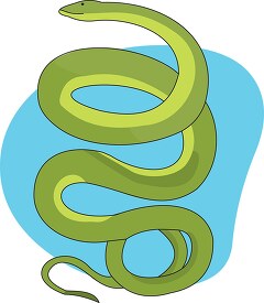 green snake coiled clipart