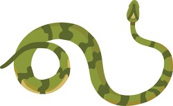 green snake coiled snake