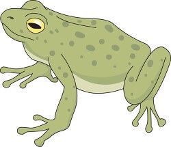 green tree frog clipart