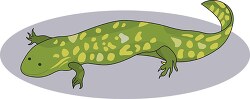 green yellow salamander clipart