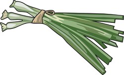 green-onions-108 clipart