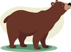 grizzly bear looking for food clipart