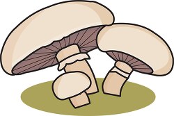 group of three mushrooms clipart
