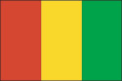 Guinea flag flat design clipart