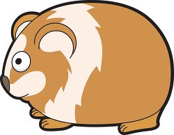 guinea pig side view clipart
