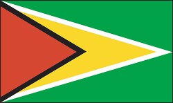 Guyana flag flat design clipart