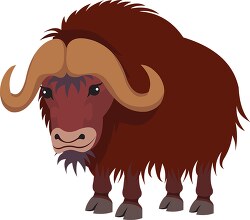 hairy musk ox clipart