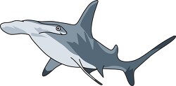 hammerhead shark clipart