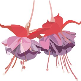 hanging pink and purple fuschia flower vector clipart image