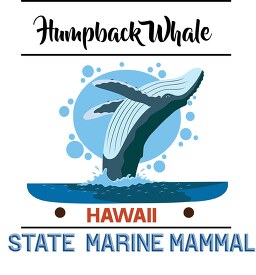 hawaii state marine mammal clipart image