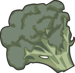 head of broccoli clipart