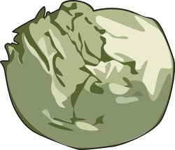 head of cabbage clipart