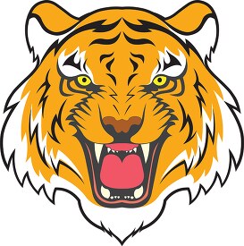 head of tiger shows open mouth with teeth clipart