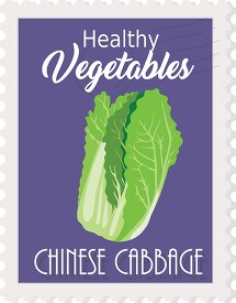 healthy vegetables chinese cabbage clipart