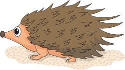 hedgehog  insectivores cartoon sideview clipart
