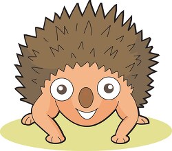hedgehog with big eyes cartoon character clipart
