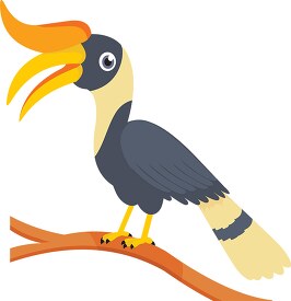 hornbill bird on tree branch clipart