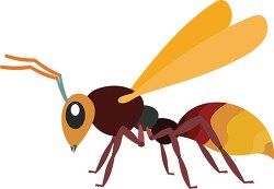hornet insect clipart illustration