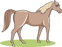 horse standing all fours side view clipart image