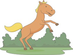 horse standing on hind legs clipart