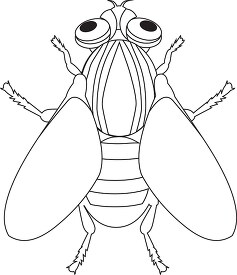 house fly insect black white outline clipart