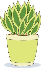 house_plant succulent_cartoon_02.eps