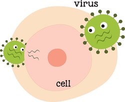 how a virus attacks a body clipart 710