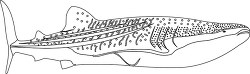 huge whale shark black white outline clipart