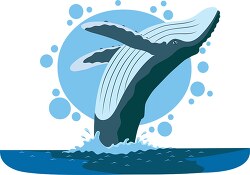 humbpack whale breaching clipart