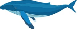 humpback whale in natural environment clipart