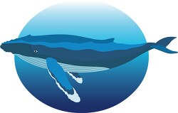 humpback whale in natural environment clipart