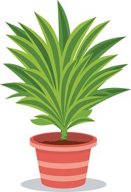 indoor decorative potted plants clipart