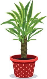 indoor yucca tree potted plants clipart