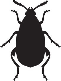 insect beetle silhouette clipart