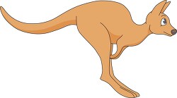 jumping kangaroo clipart