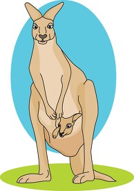 kangaroo baby in pouch clipart