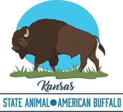 kansas state animal american buffalo vector clipart image