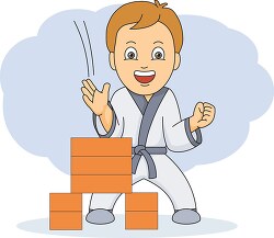 karate boy breaking tiles
