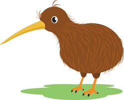 Kiwi Bird Clipart