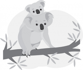 koala mom with baby on tree branch gray color