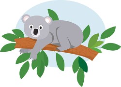 koala resting on a tree branch vector clipart