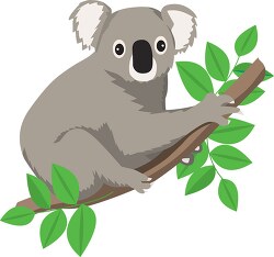 koalas on tree surrounded by leaves