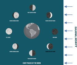 labeled illustration moon phases around the earth clipart image