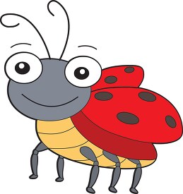 lady bug insect cartoon clipart