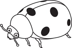 lady bug insect outline cliprt