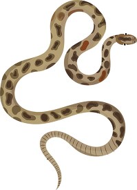 large brown coiled snake clipart