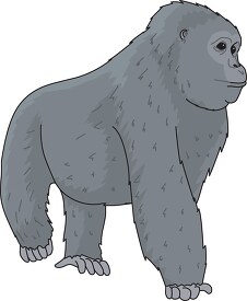 large silver gorilla clipart