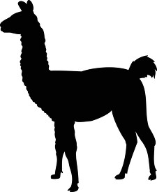 Llama Silhouette Clipart